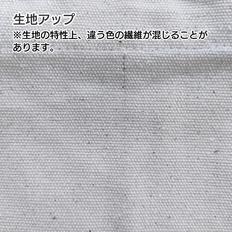 リサイクルキャンバス2ポケットトートの商品画像