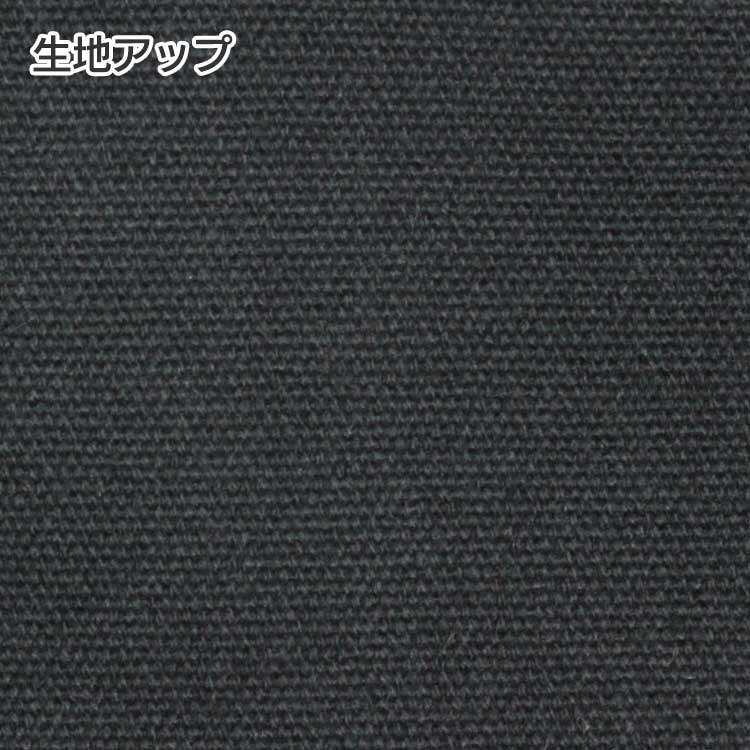 コロリドキャンバストート(S)の商品画像