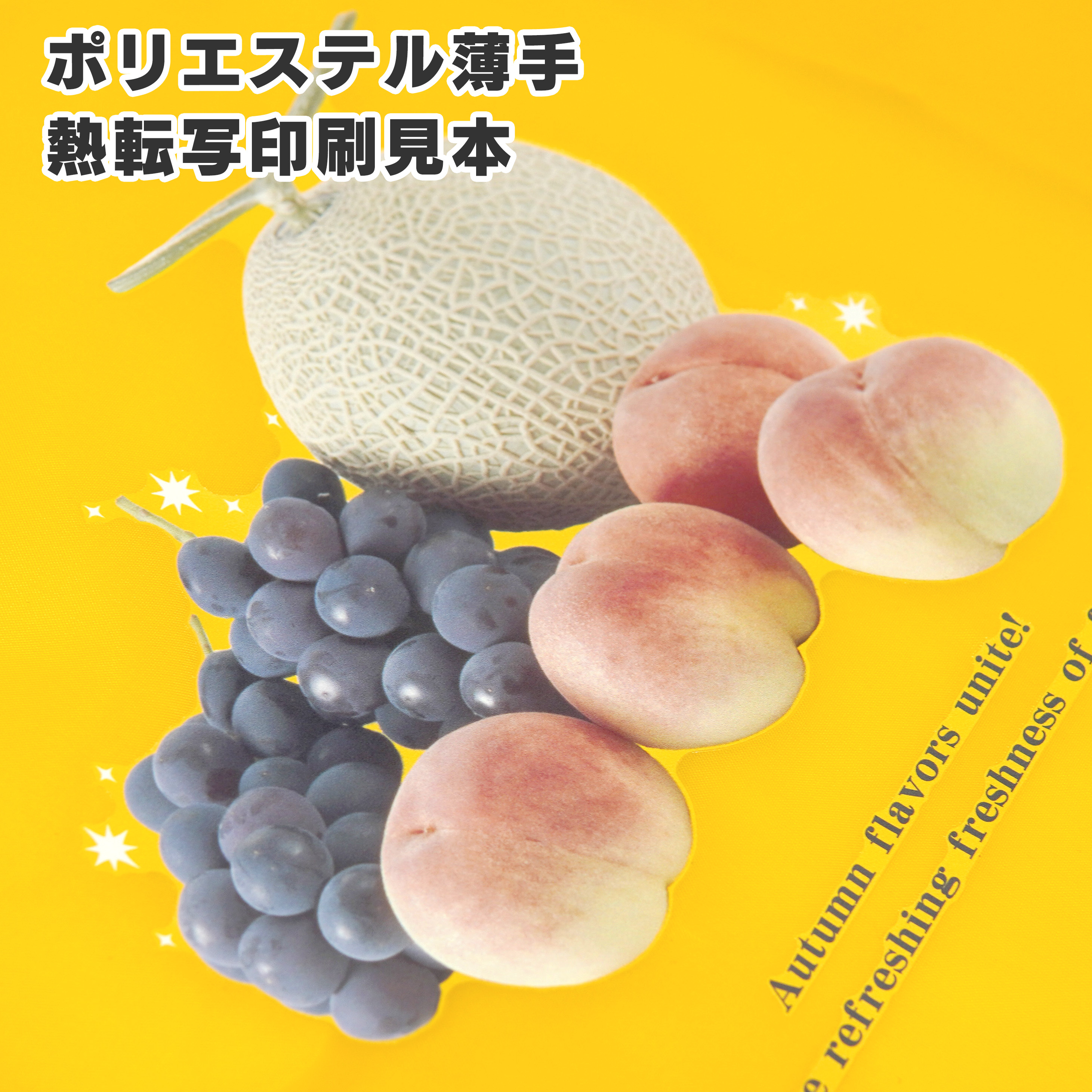 熱転写印刷見本画像