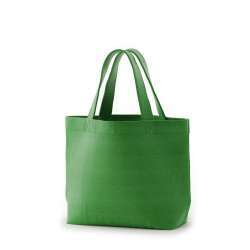 【特価品】コロリドキャンバストート(S) グリーン