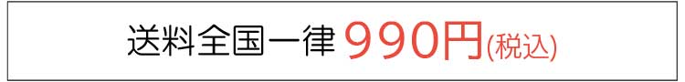 送料全国一律990円